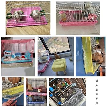 小動物用ケージとトイレシートセット うさぎ用品一式 Amazon.co.jp: ウサギおしっこマット 吸水シート ラビット